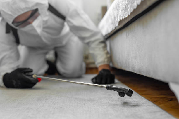 Professional Termite Control technician working in Satsuma, AL