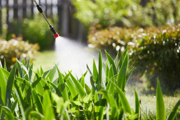 24/7 Emergency Termite Control experts in Satsuma, AL