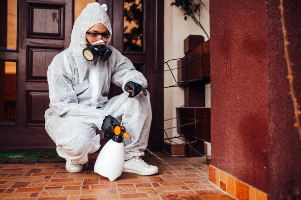 Reliable Termite Control contractor in Satsuma, AL by Nex Pest Control